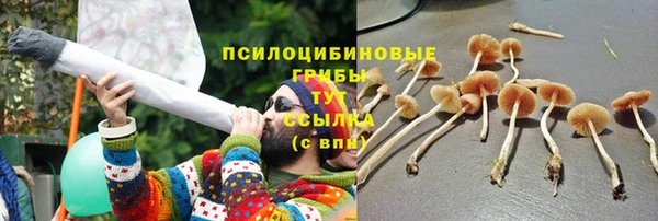 бутик Новозыбков