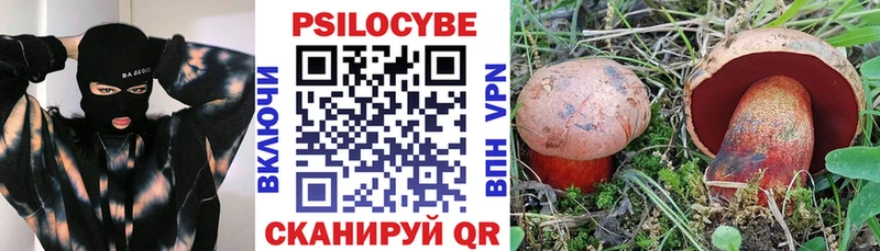 Галлюциногенные грибы MAGIC MUSHROOMS  Междуреченск 