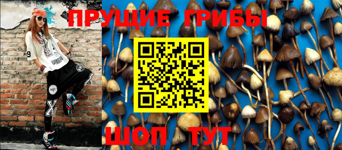 Галлюциногенные грибы Cubensis  как найти наркотики  Междуреченск 