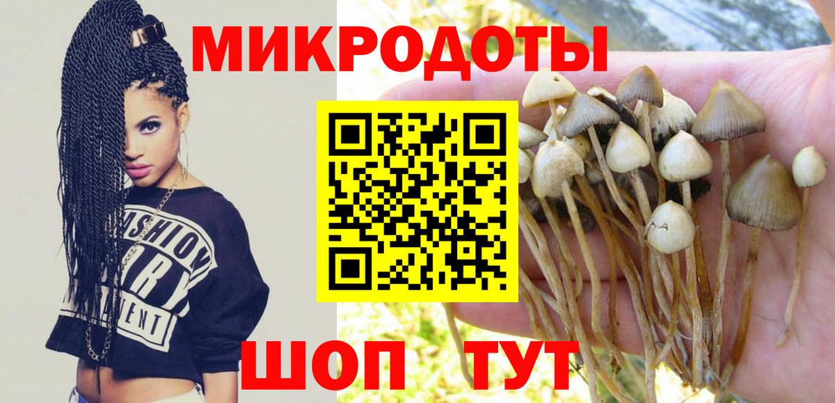 Галлюциногенные грибы прущие грибы Междуреченск