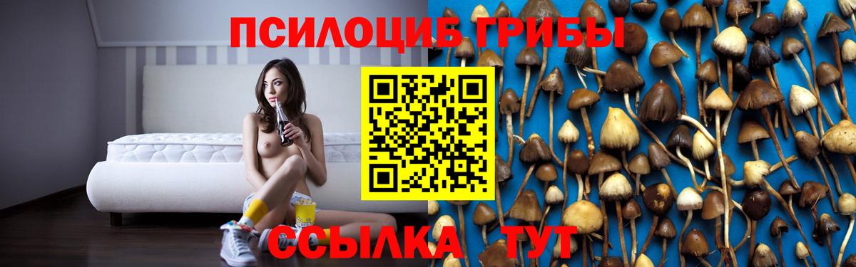 Псилоцибиновые грибы прущие грибы  Вход с VPN  Междуреченск  Галлюциногенные грибы прущие грибы 